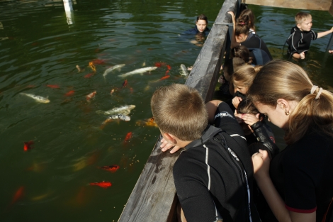 Observatorul de pesti